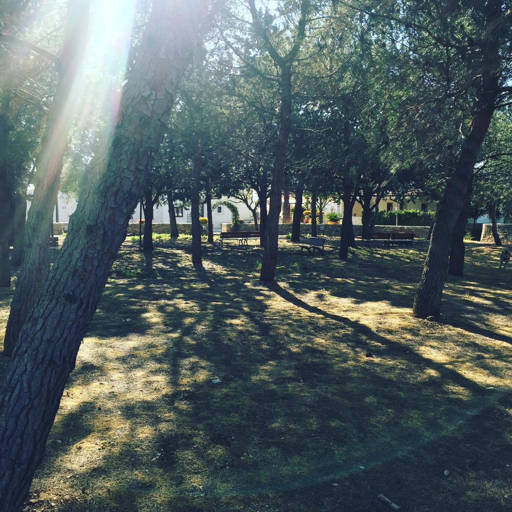 Masseria Gravelle Turi Eksteriør bilde