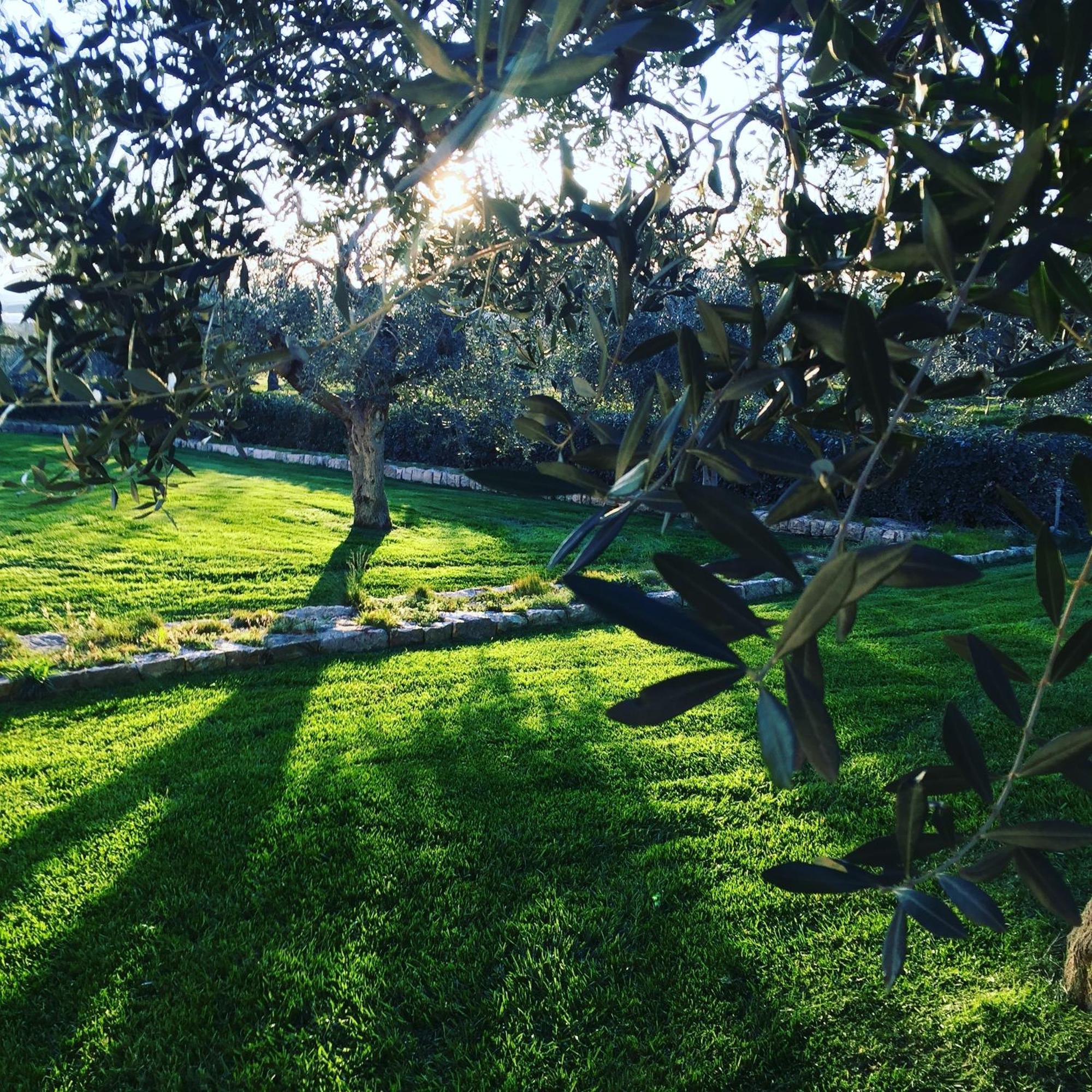 Masseria Gravelle Turi Eksteriør bilde