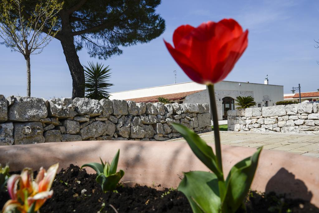 Masseria Gravelle Turi Eksteriør bilde